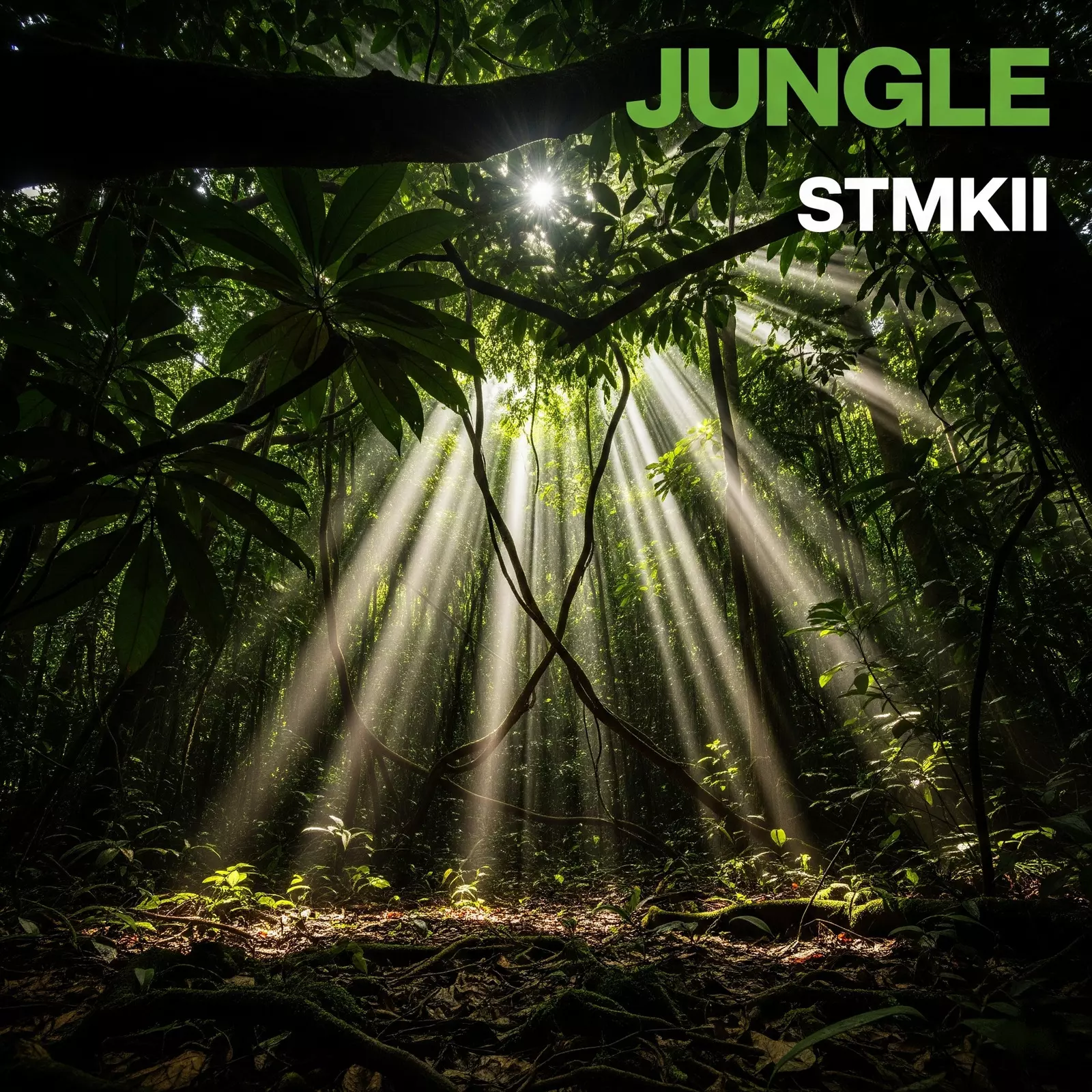JUNGLE — STMKII